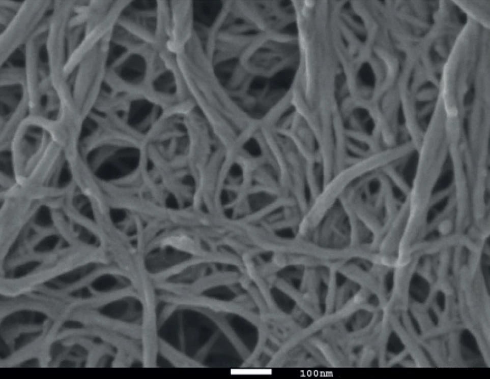 Microscope image of an interwoven cellulose nanofibre network.