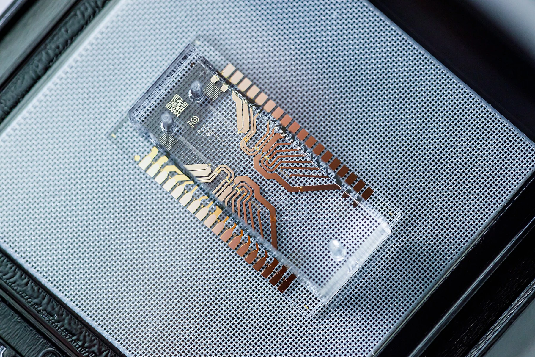 Microfluidic chip on a glass substrate, photographed against a dark background.